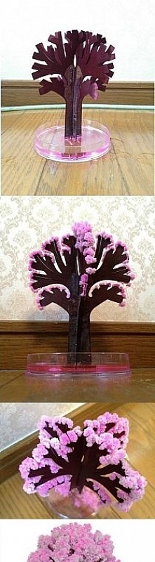 Solne drzewko. Koronę trzeba zrobić tak: Do naczynia wsypać sól (dosyć sporo), zalać gorącą wodą żeby się szybko rozpuściła sól, na koniec dodać barwnik. Myślę, że spożywczy. Al...