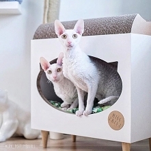 TVcat domek+ drapak dla kota