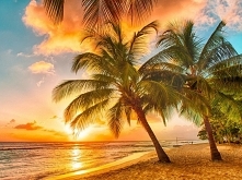 Krajobraz. Plaża na Barbadosie. Zapraszamy na puzzle!