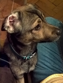 Hej, co macie na stole? Tę ...