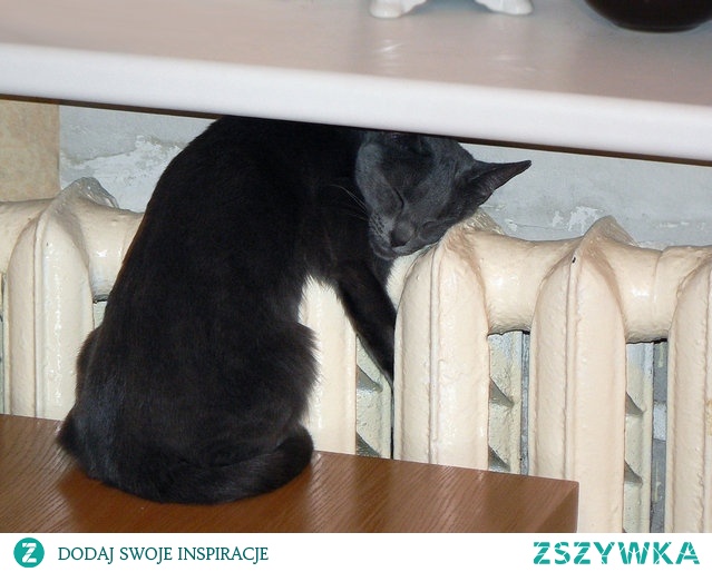 Zimowa miłość :-)