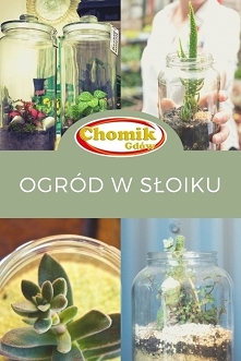 Nie musicie czekać na nadejście wiosny, by założyć swój własny mini-ogródek 