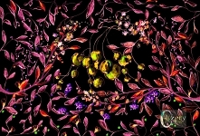 Owoce wśród liści - element...