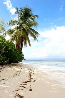 Gwadelupa - rajska wyspa - ...