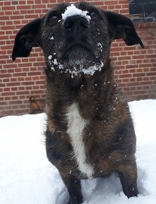 uwielbia te klimaty..