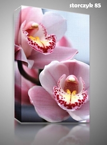 #Dzień Kobiet zbliża się ma...