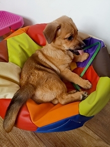 Moje małe szczęście ❤️