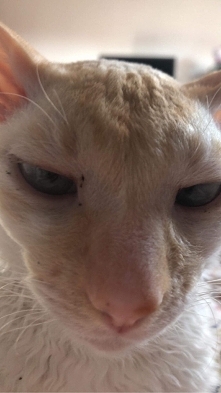 Marcel jeszcze śpi???