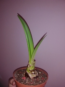 6 dni od ostatniego zdjęcia..