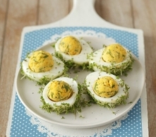 Przepisy Wielkanocne – TOP 15 Najlepszych Potraw i Przekąsek na Wielkanocny Stół