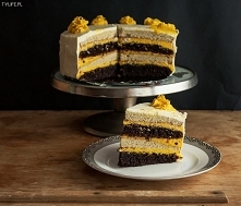 Tort dyniowy.