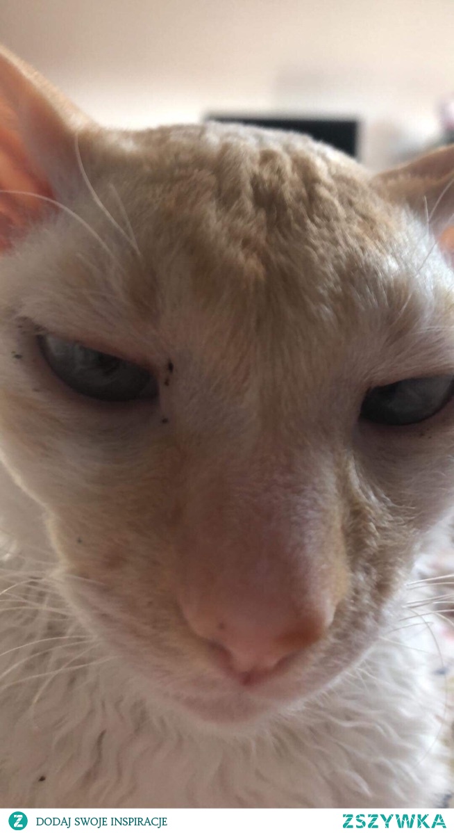 Marcel jeszcze śpi???