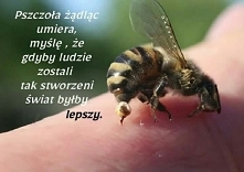 źródło obrazu pinterest