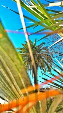 chwilka odpoczynku od pracy;)  milej niedzieli; )