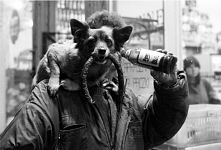 Galeria LueLue wspiera auto...