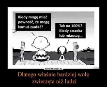 źródło: demotywatory