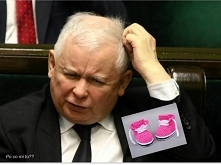 Kaczyński odmówił przyjęcia niemowlęcych bucików
Odmowa przyjęcia symbolu narodzin i niewinności oraz symbolicznego potępienia pedofilii w kościele  – to wizerunkowy cios. Kiedy...