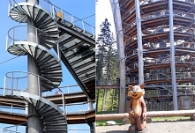 Ścieżka w koronach drzew Bachledka – nasze wrażenia