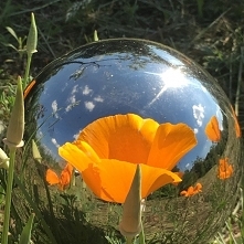 kula ogrodowa ze stali nierdzewnej 20 cm 58 zł na srebrnekule.pl