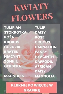 Kwiaty po angielsku