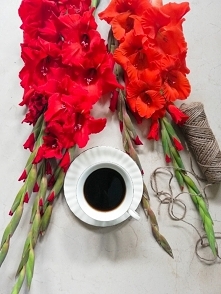 Piękno w codziennych chwilach. I sezon na mieczyki uważam za otwarty. Kto jeszcze uwielbia mieć świeże kwiaty w domu?