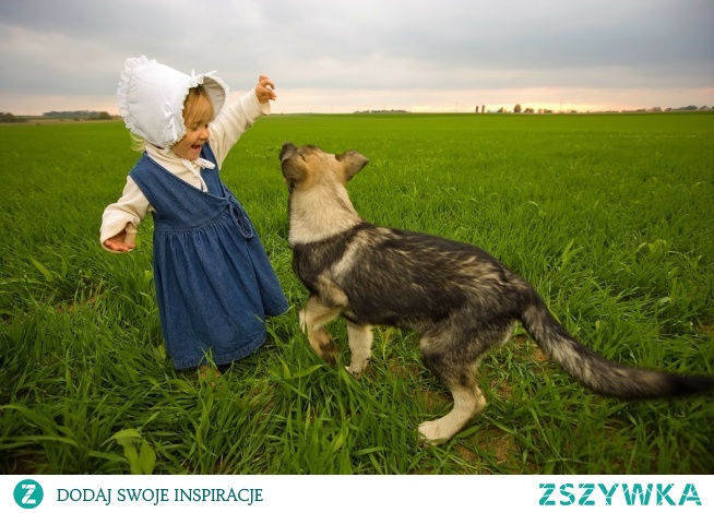 Dlaczego Twój pies podchodzi do mojego dziecka?