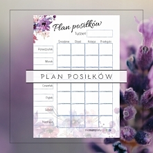 plan planer posiłków w wers...