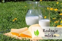 Rodzaje mleka - jakie wyróżniamy?