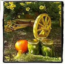 Ogórki kiszone tradycyjnie - Sour Cucumbers Recipe - Cetrioli in salamoia