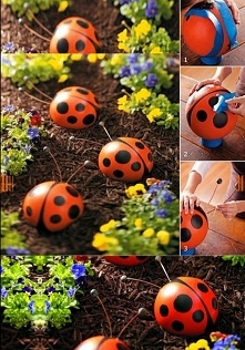 Ozdoba, biedronki, garden, ogród, div