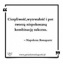 Cierpliwość, wytrwałość i pot tworzą niepokonaną kombinację sukcesu. 
 – Napoleon Bonaparte