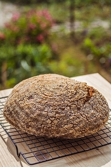 Chleb rustykalny Hamelmana