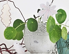 Dekoracja z papierowych liści.