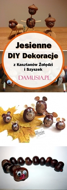 TOP 20 Inspiracji na Jesien...