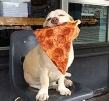 haha zobacz co mam ^.^