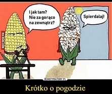Krótko o pogodzie