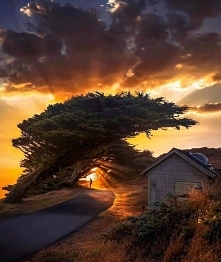 Półwysep Point Reyes w Kali...