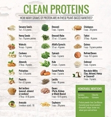 many grams of protein