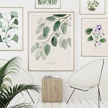 Eukaliptus | 50x70 cm