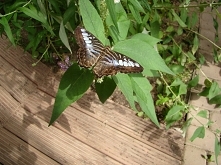 co ludzie powiedzą? - nowy ...