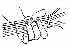 Chwyty gitarowe w Śpiewniku Wywrota. Ucz się razem z Nami!