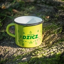 KUPON RABATOWY -10% DO WYKO...