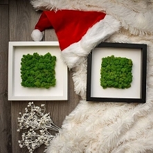 Chyba każde dziecko wie, że czerwona czapa oznacza jedno: będą prezenty. 