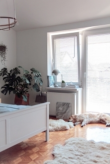 Żaluzje drewniane białe, montowane w świetle szyby w sypialni Karolina.Pingielska (Instagram)

Jeśli szukasz żaluzji, zapraszamy na Nasze Domowe Pielesze :)