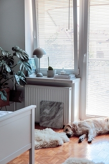 Żaluzje drewniane białe, montowane w świetle szyby w sypialni Karolina.Pingielska (Instagram)

Jeśli szukasz żaluzji, zapraszamy na Nasze Domowe Pielesze :)