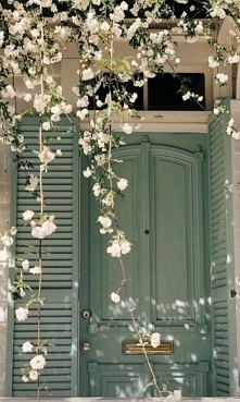 #kwiat #door #prowansja