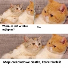 ciasteczka 