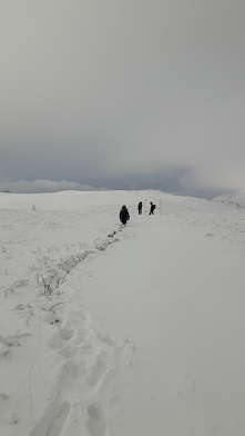 Wrócić tam gdzie człowiek czuje się wolny <3 Bieszczady