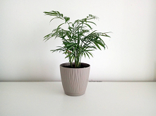 Jeśli interesuje cię ekologia (a przy okazji oszczędzanie pieniędzy) to ten wpis jest dla ciebie. Potraktuj go jako inspirację do tego, co możesz zrobić, by żyć w zgodzie z natu...