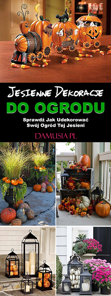 Jesienne Dekoracje do Ogrodu – Sprawdź Jak Udekorować Swój Ogród Tej Jesieni